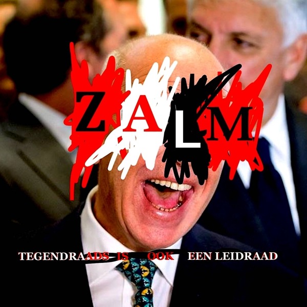 ZALM - TEGENDRAADS IS OOK EEN LEIDRAAD, Vinyl