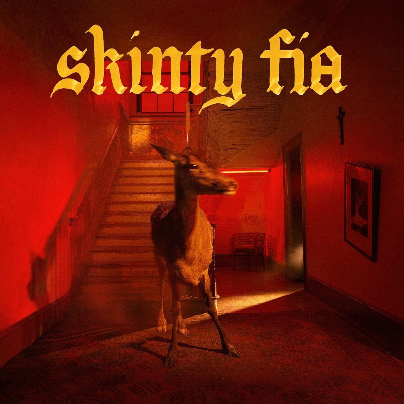 E-shop FONTAINES DC - SKINTY FIA CD