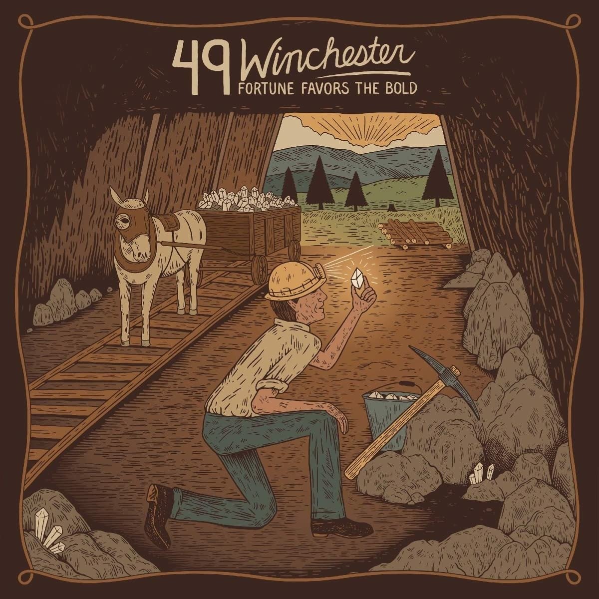 49 WINCHESTER - FORTUNE FAVORS THE BOLD, CD