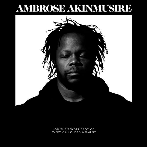 Ambrose Akinmusire, ON THE TENDER SPOT OF, CD