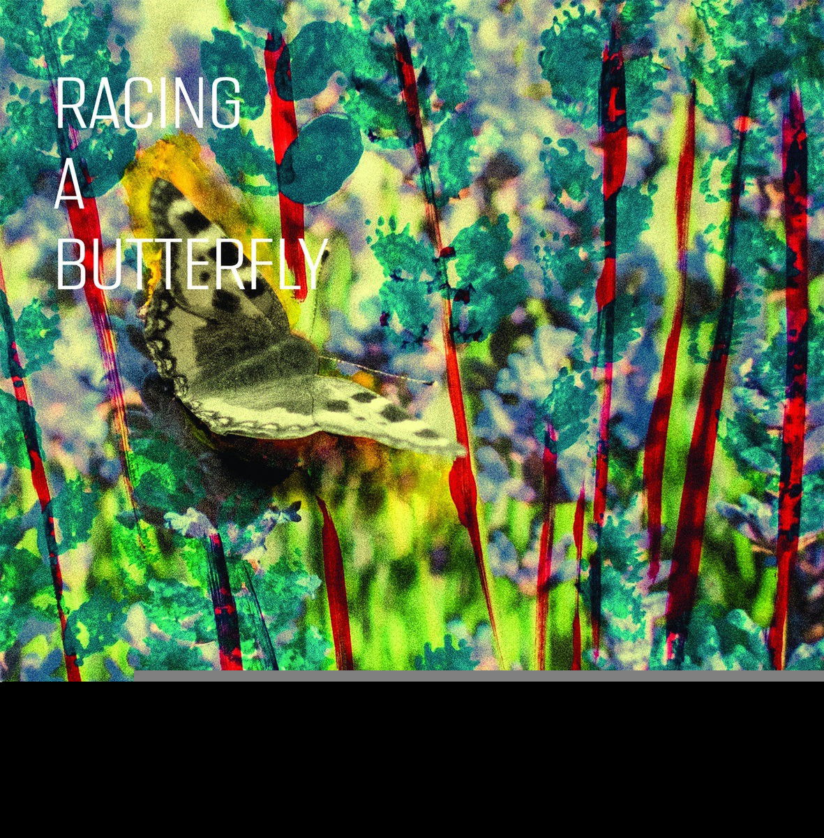 E-shop IVERSEN, ANNE METTE -QUAR - RACING A BUTTERFLY LP