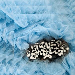 E-shop PENNY & THE PITS - LIQUID COMPACTOR 1 CD
