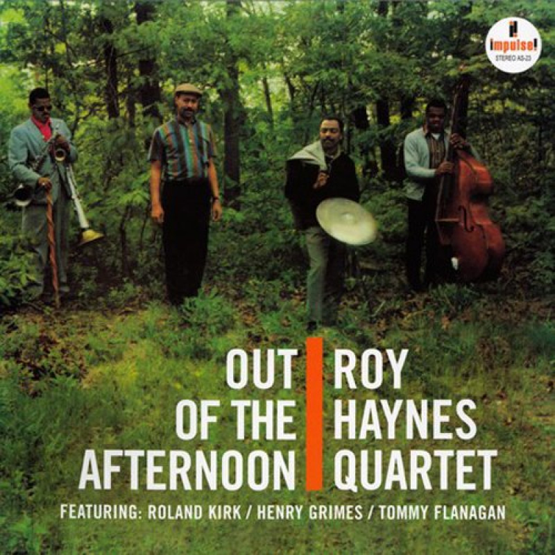 HAYNES ROY - OUT OF THE AFTERNOON, Vinyl
