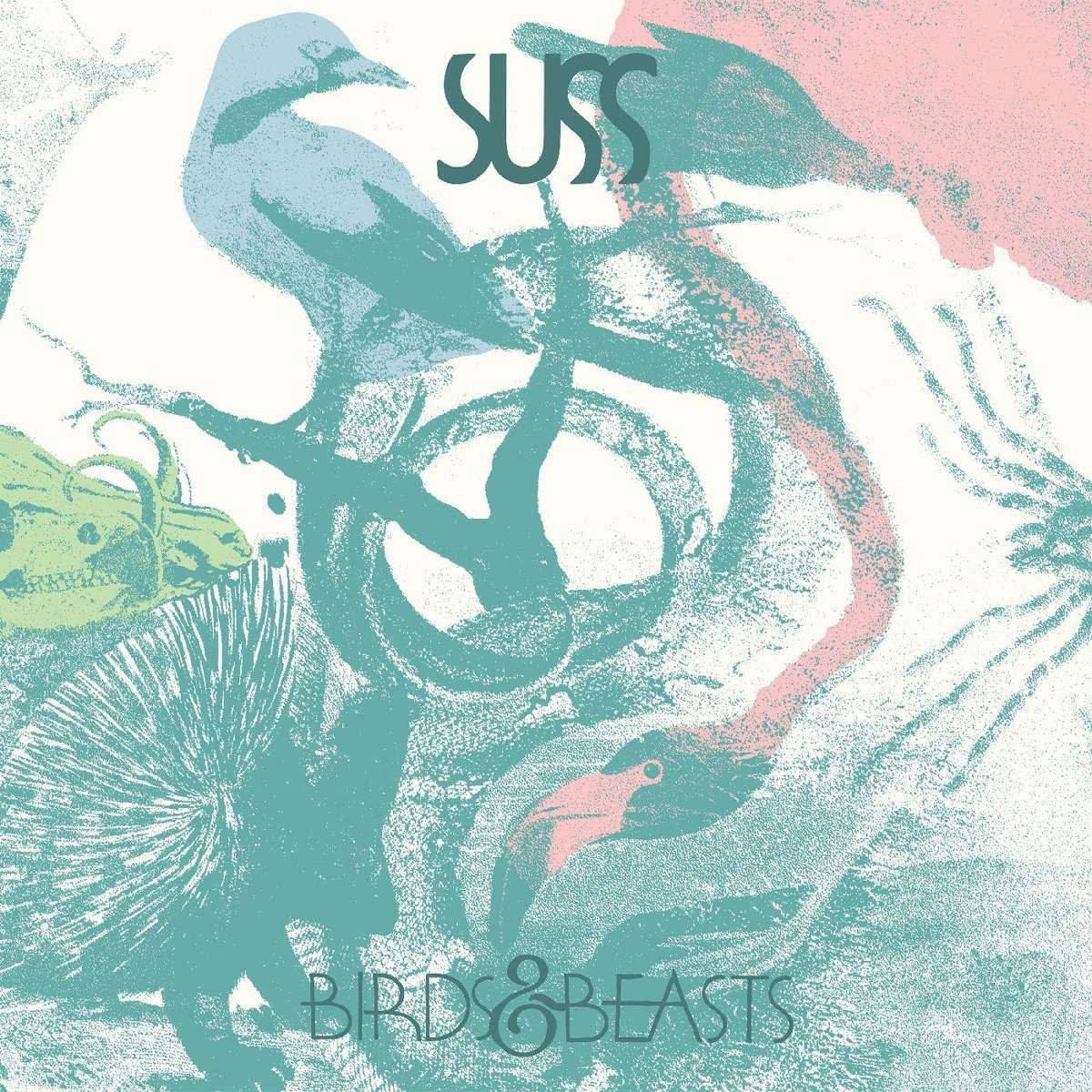 E-shop BIRDS & BEASTS