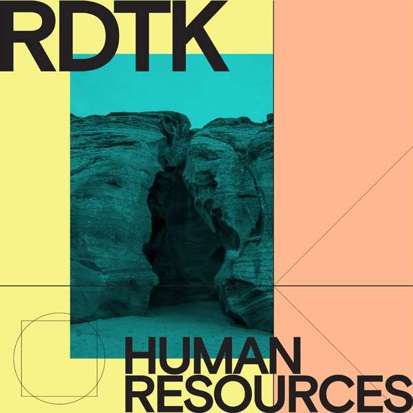 DONOSO, RICARDO & THIAGO - HUMAN RESOURCES, Vinyl