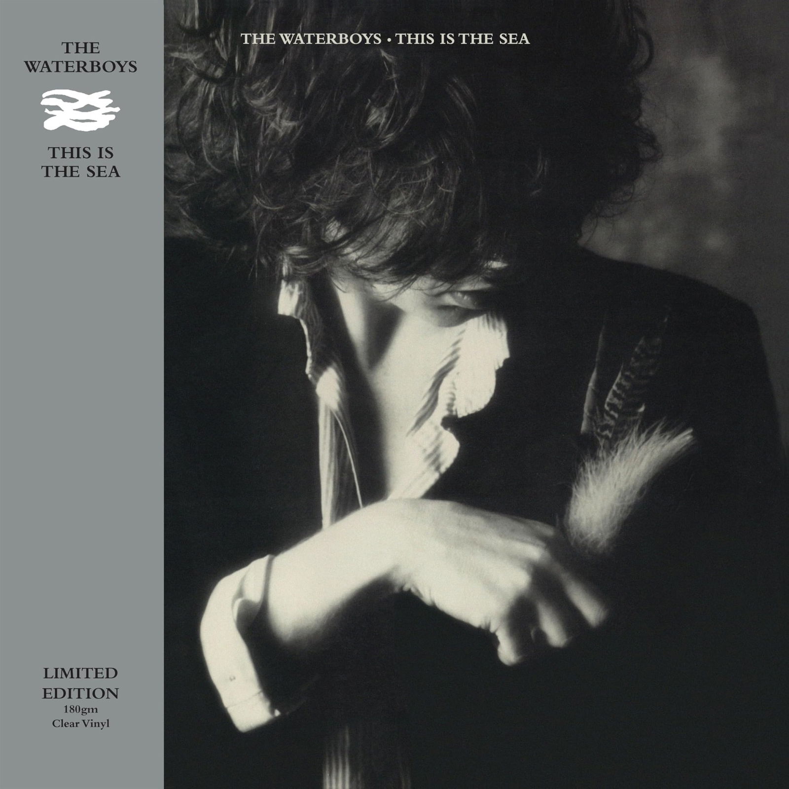 E-shop WATERBOYS - THIS IS THE SEA LP