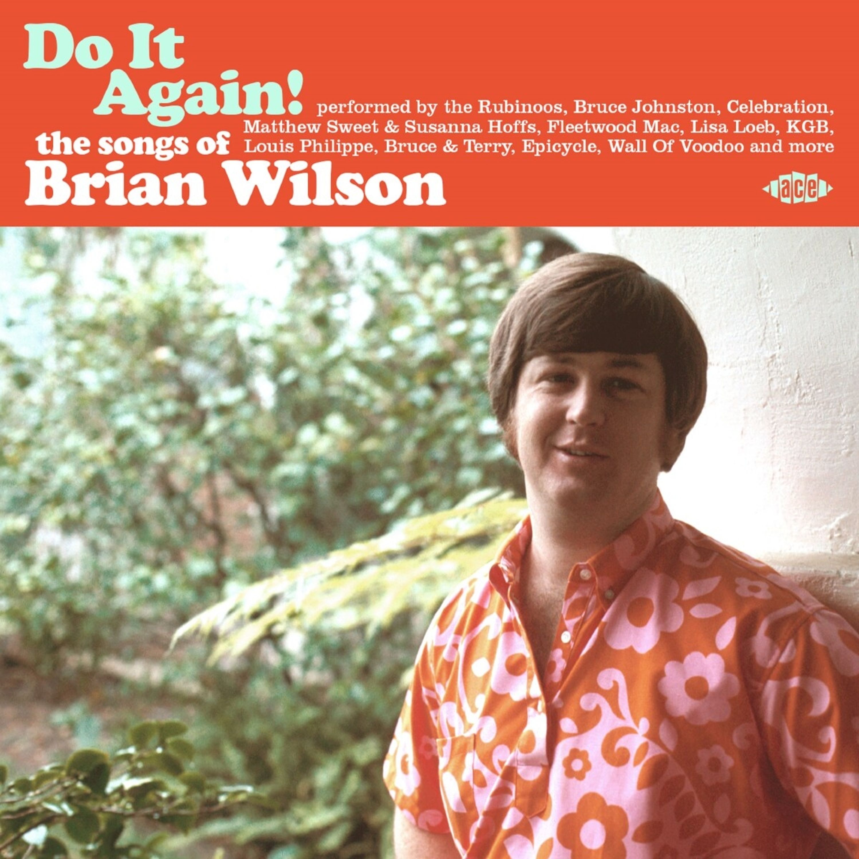 E-shop Do It Again! The Songs of Brian Wilson CD