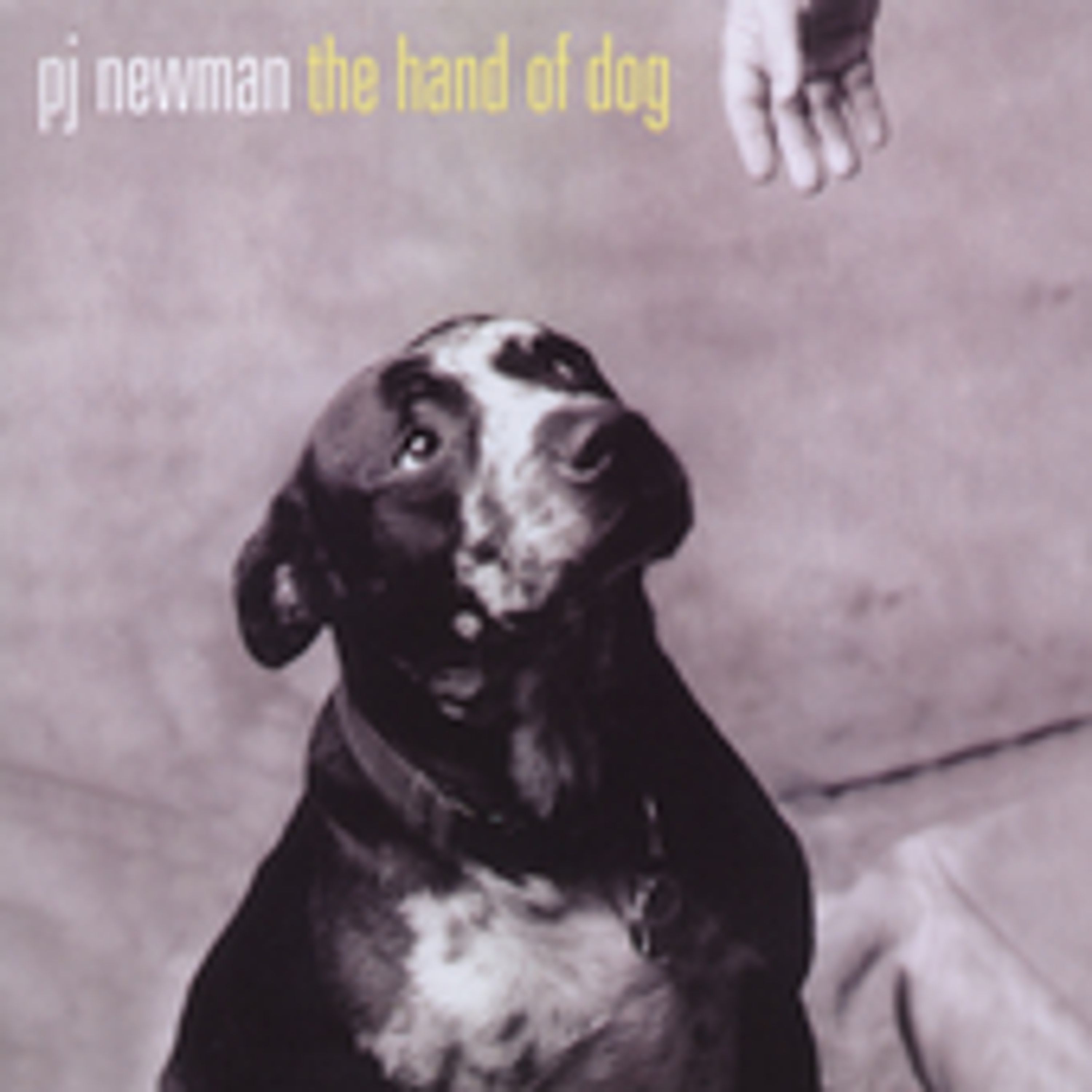 E-shop HAND OF DOG