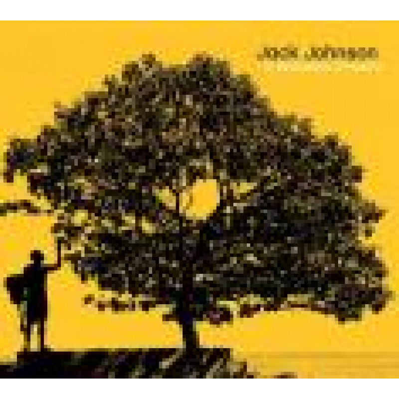JOHNSON JACK - IN BETWEEN DREAMS, CD
