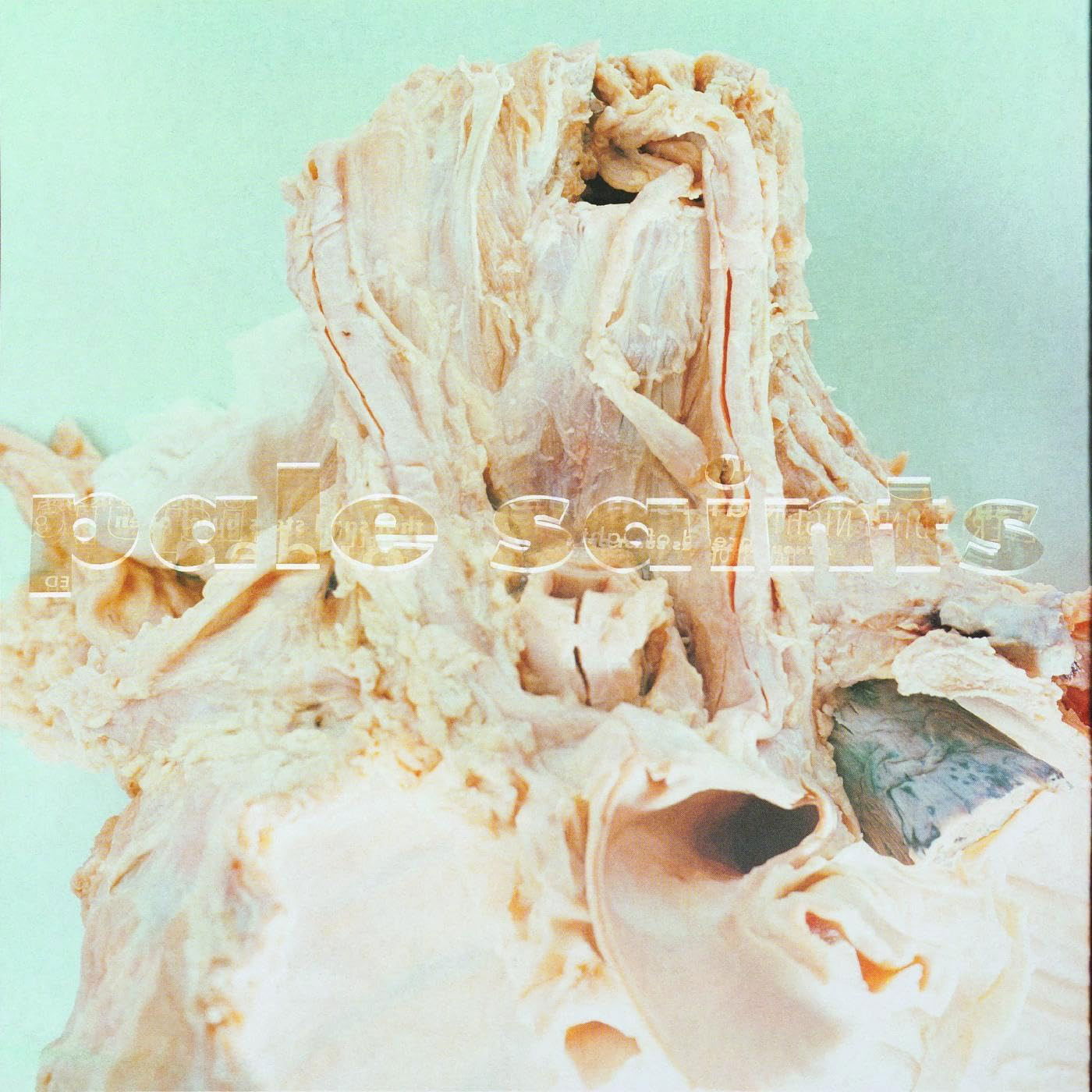 E-shop PALE SAINTS - IN RIBBONS CD
