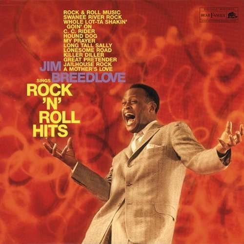 BREEDLOVE, JIM - SINGS ROCK\'N\'ROLL HITS, Vinyl