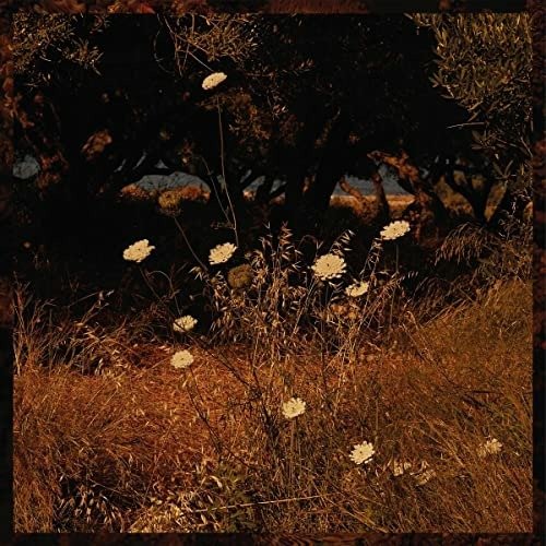 E-shop Earth Patterns - Szun Waves CD