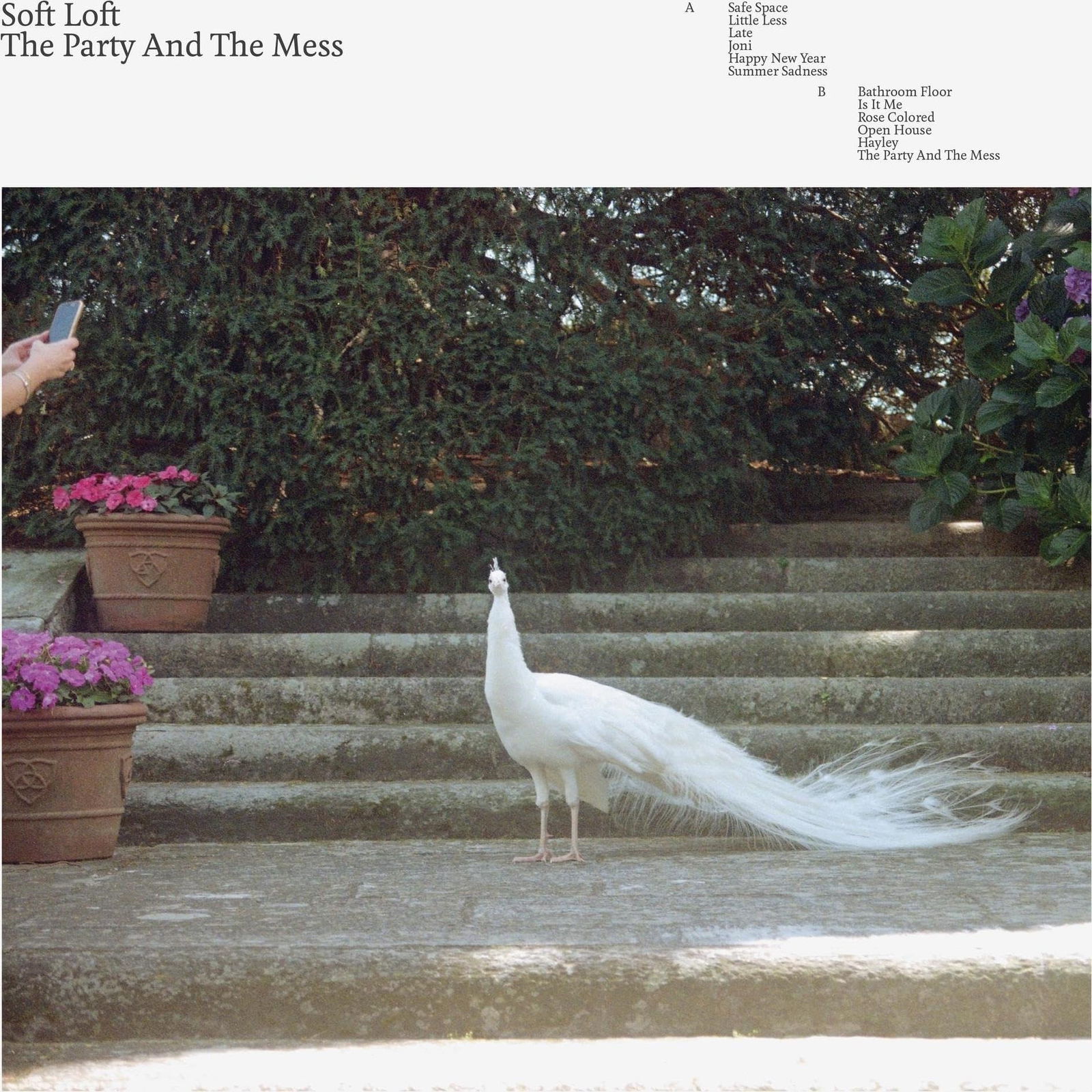 E-shop SOFT LOFT - THE PARTY AND THE MESS CD