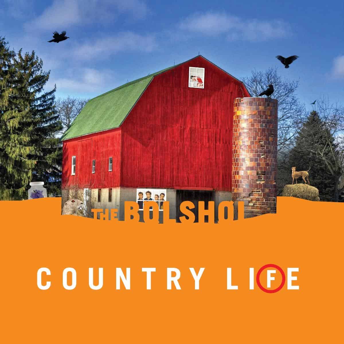 E-shop Country Life (Sun Orange / Grass Green Vinyl)